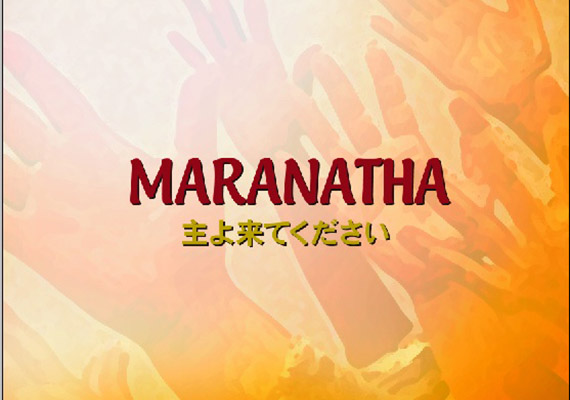 2007.02.04 Release　価格1,500円（税別）