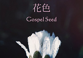 2017.3.21 Release　価格250円